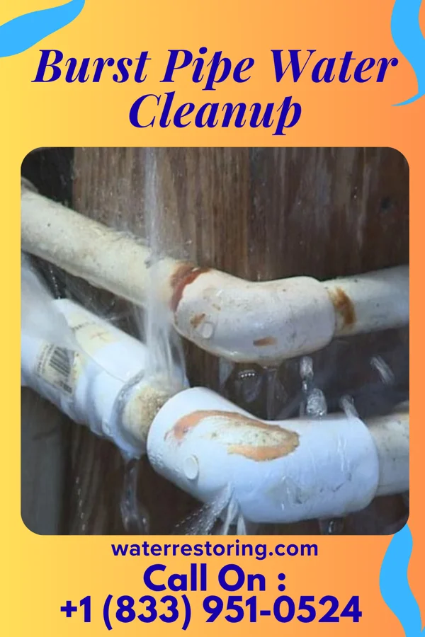 Burst Pipe Water Cleanup in Weir, MS