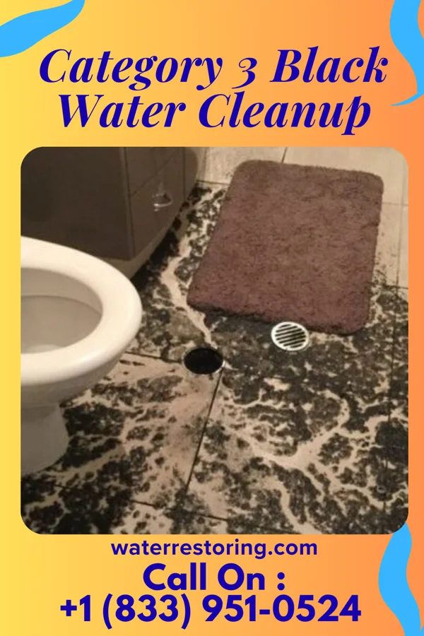 Category 3 Black Water Cleanup in Weir, MS