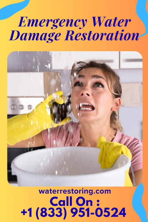 Emergency Water Damage Restoration in Weir, MS