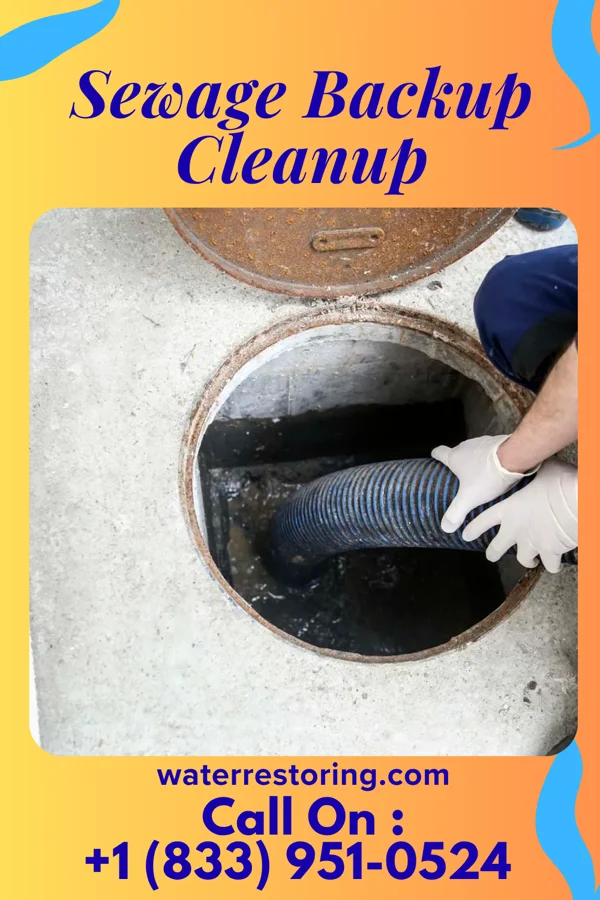 Sewage Backup Cleanup in Weir, MS