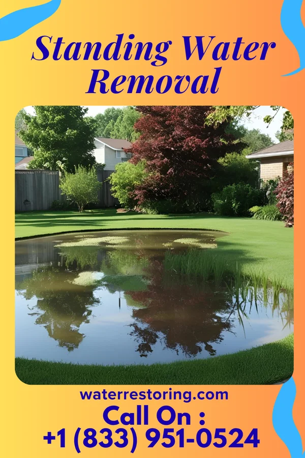 Standing Water Removal in Weir, MS